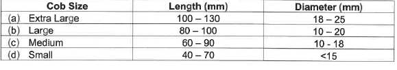 R2826 S31 Size groups standard size groups  (1)