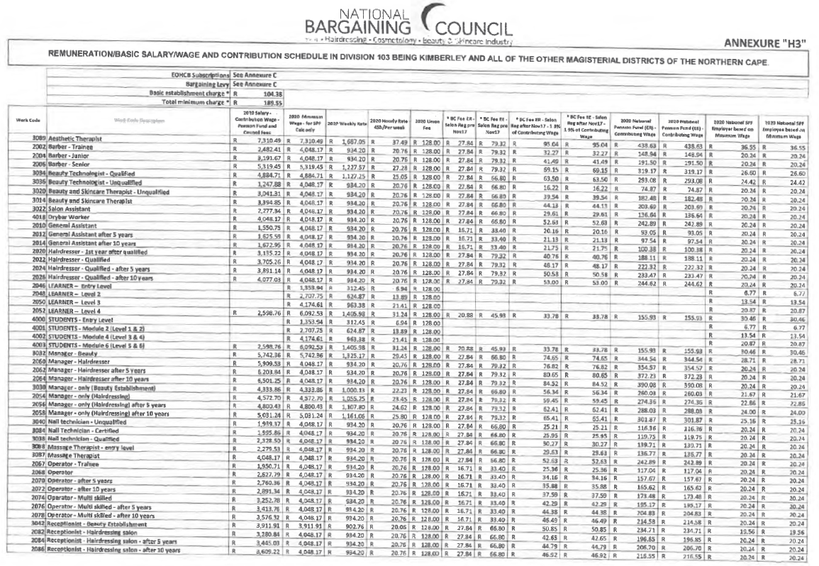 R663 Annexure H3 Remuneration