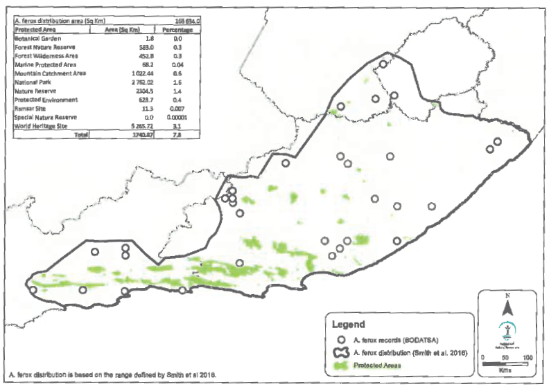 N1295 Figure 3